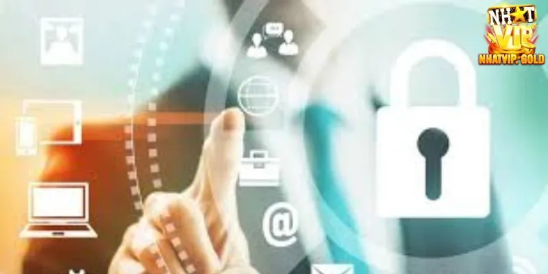 Thông tin về lưu trữ dữ liệu tại Nhatvip 