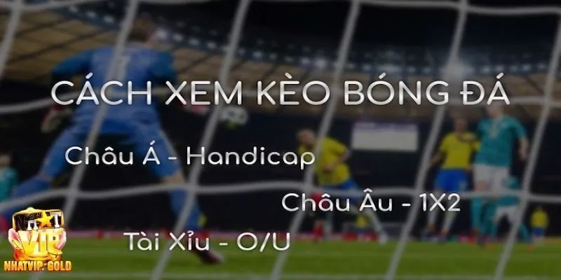 Hướng dẫn cách xem kèo bóng đá tại web Nhatvip chuẩn nhất