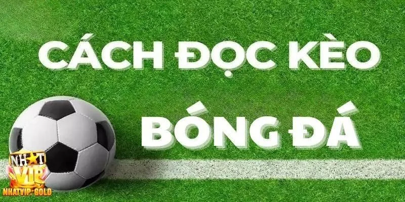 Mẹo giành chiến thắng khi áp dụng cách đọc kèo bóng đá