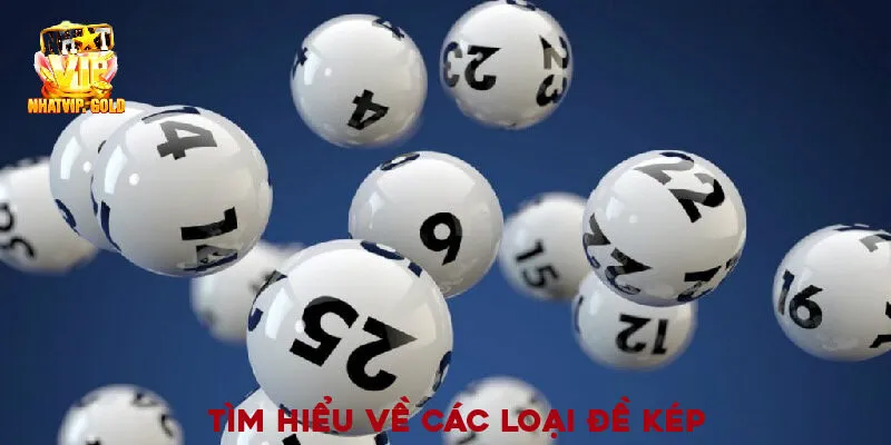 Các loại đề kép phổ biến 