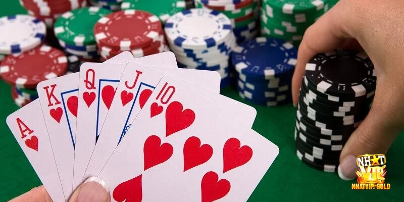 Mẹo đánh catte giúp người chơi mang về thắng lớn cho bản thân