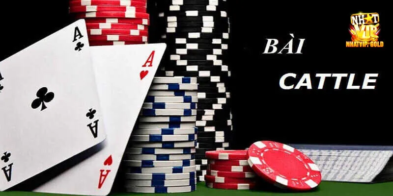 Bài cát tê mang đến giây phút thư giãn hoàn hảo cho người tham gia